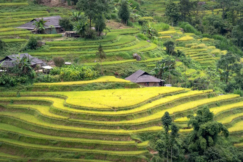 Cân và đóng bao